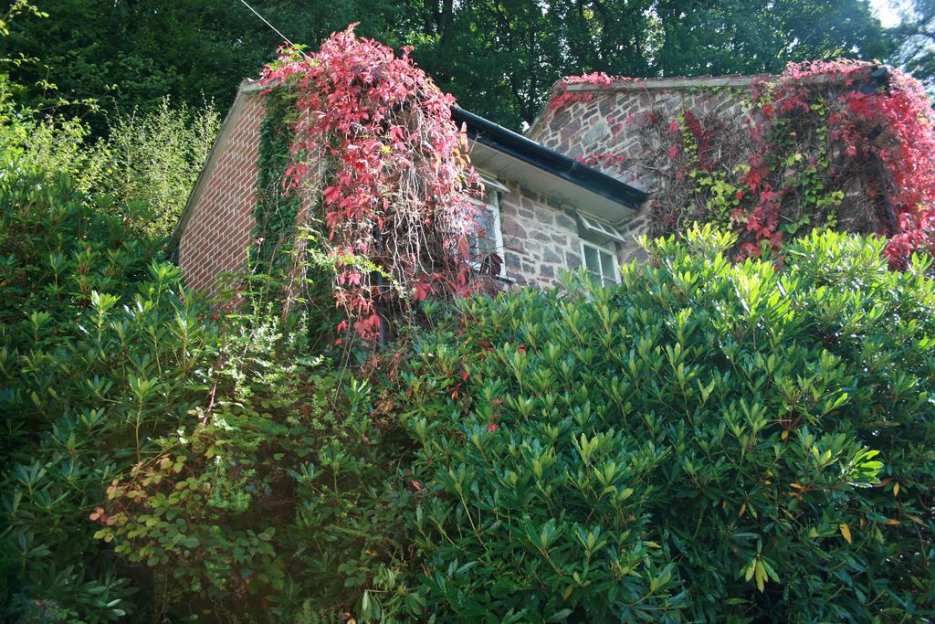 The Bark House Hotell Tiverton  Exteriör bild