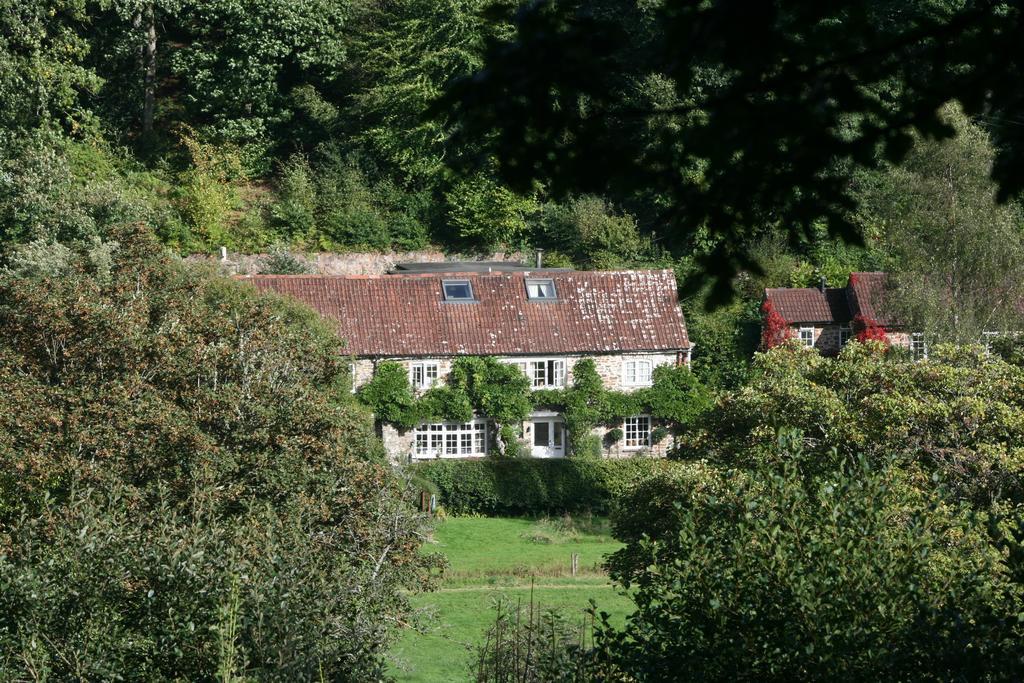 The Bark House Hotell Tiverton  Exteriör bild
