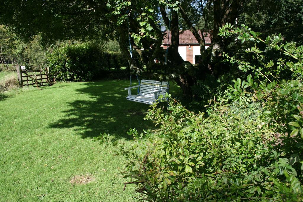 The Bark House Hotell Tiverton  Exteriör bild
