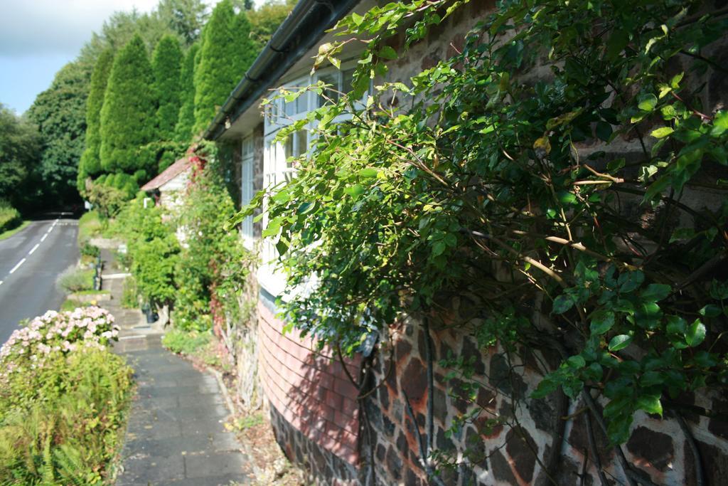 The Bark House Hotell Tiverton  Exteriör bild